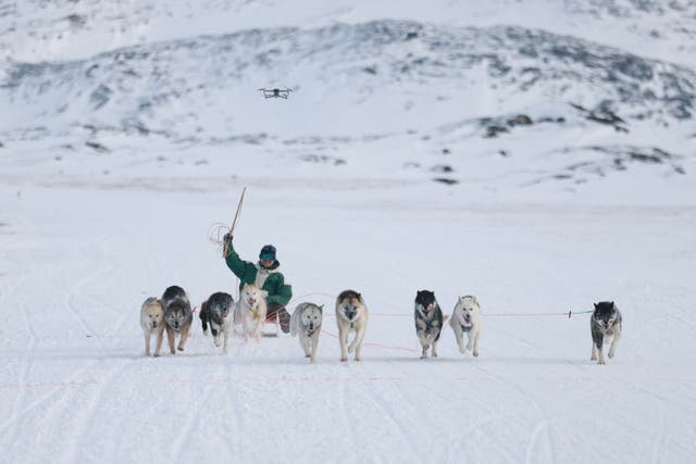 <p>Organizers of Greenland’s annual national dog sled race have questioned who invited Donald Trump’s U.S. envoy to the event, saying that its presence would be ‘wholly inappropriate’ amid ongoing tensions between the two nations</p>