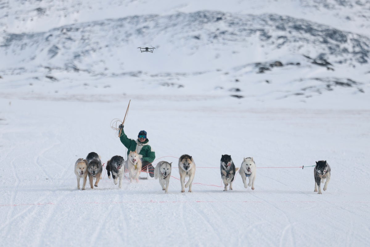 Greenland’s dog sled race is questioning who invited Trump’s envoy to the event