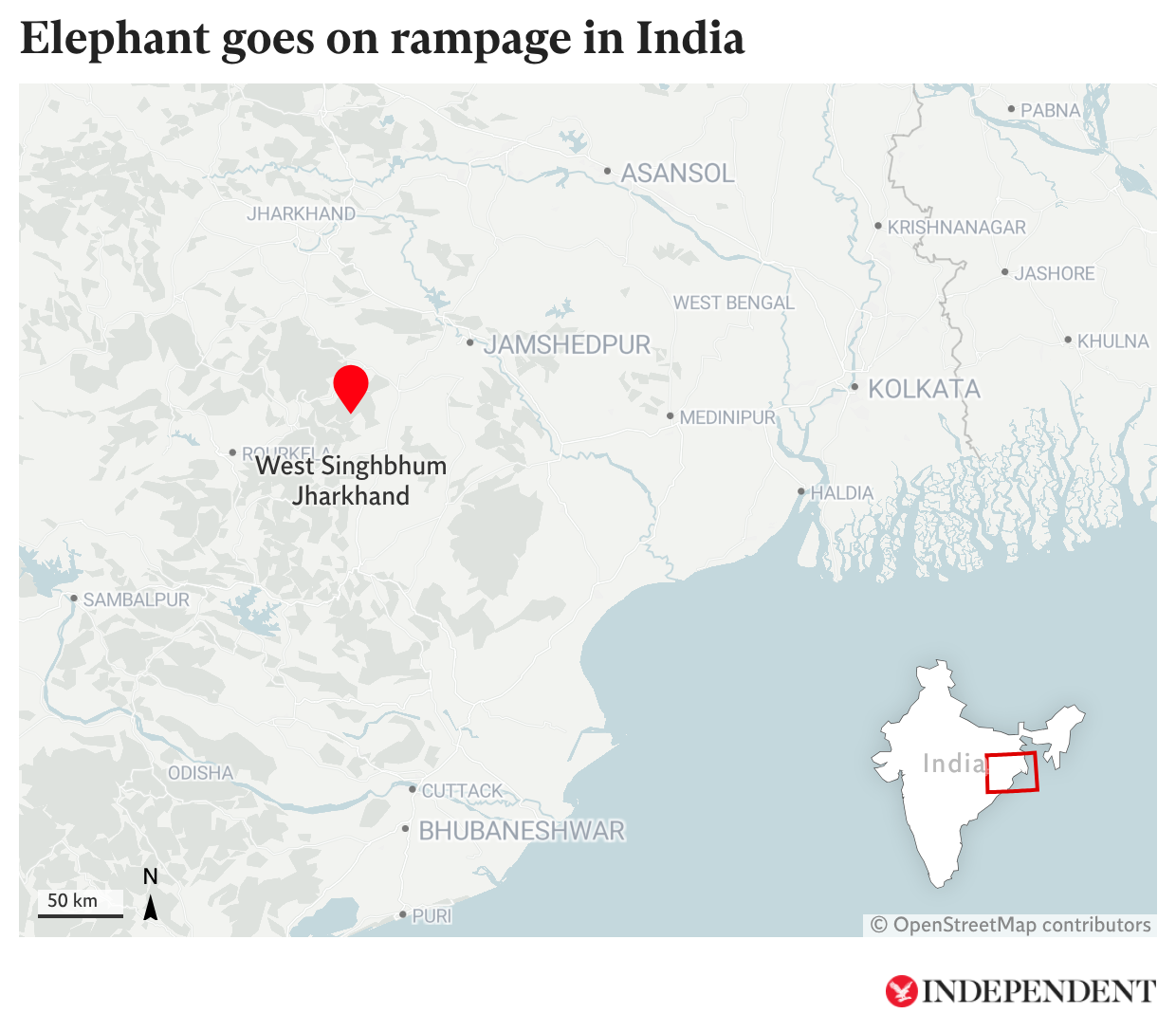Elephant goes on rampage in India's Jharkhand
