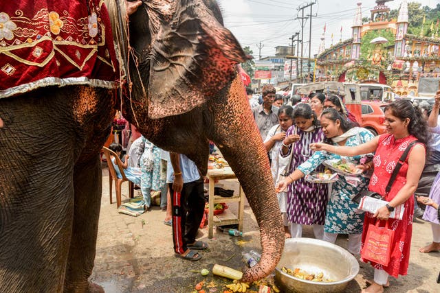 <p>Representativo: Devotos dan de comer a un elefante frente a un templo de Ganesh durante el Ganesh Chaturthi en Guwahati, India</p>