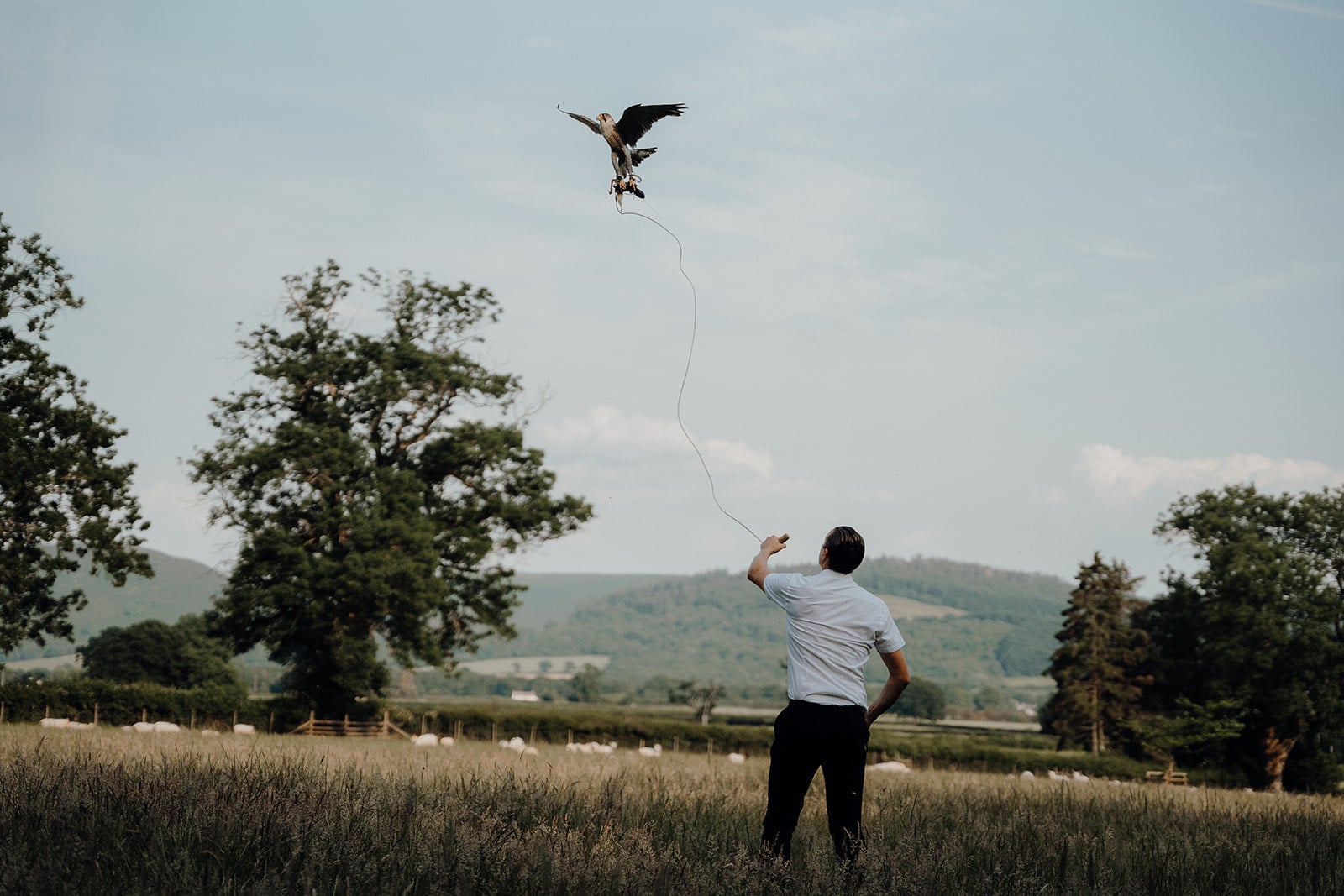 Anges’ love of falconry is prevalent throughout the film. Follow in her footsteps at Wye Valley Falconry