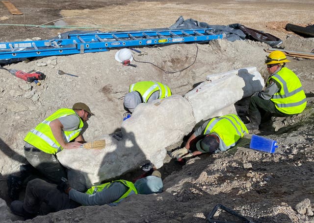 <p>Staff at the Dinosaur National Monument just uncovered one of the world’s longest dinosaurs while digging up a parking lot</p>
