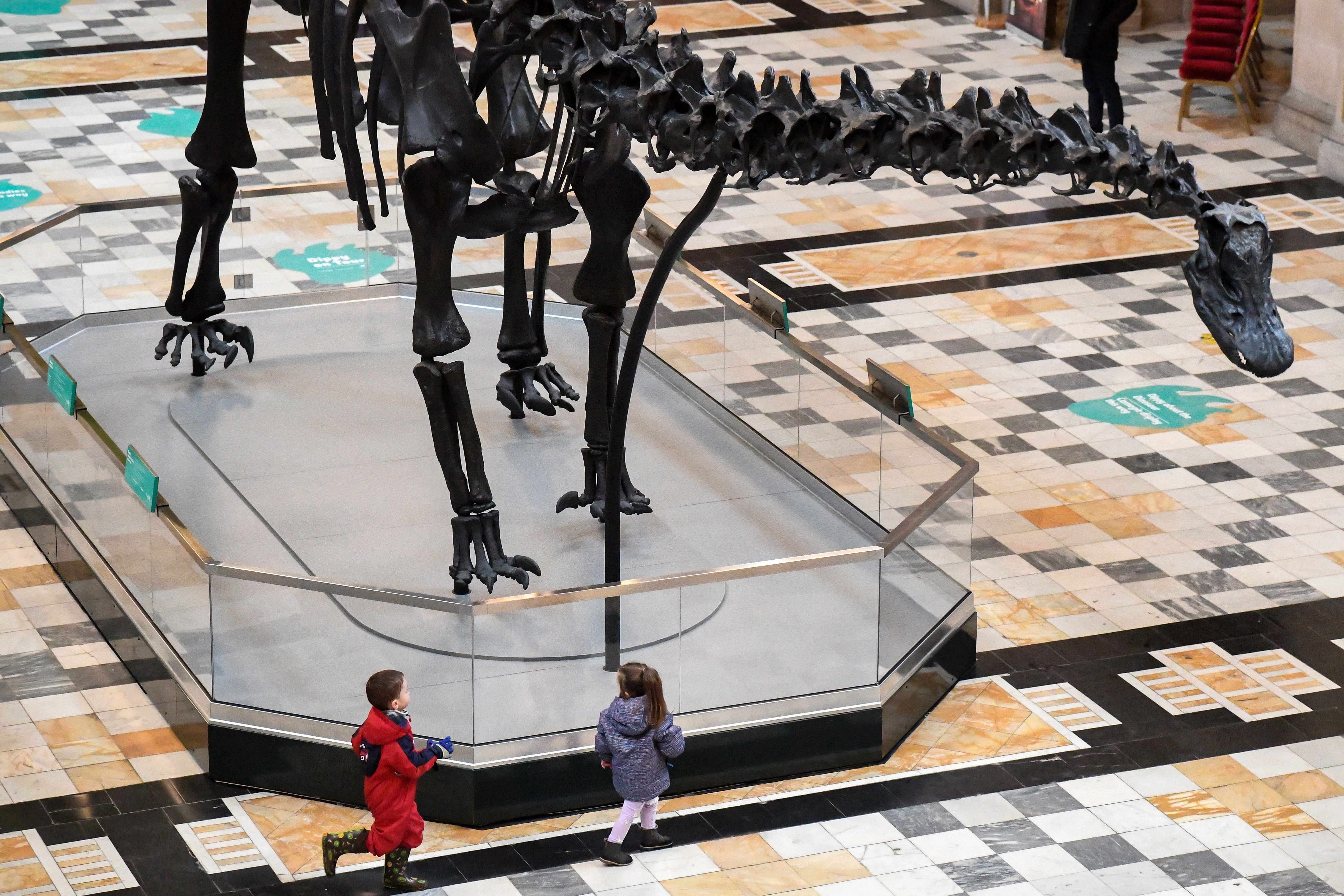 Members of the public view ‘Dippy’ the dinosaur, a Diplodocus , at Kelvingrove Art Gallery and Museum in Glasgow, Scotland, in January 2019