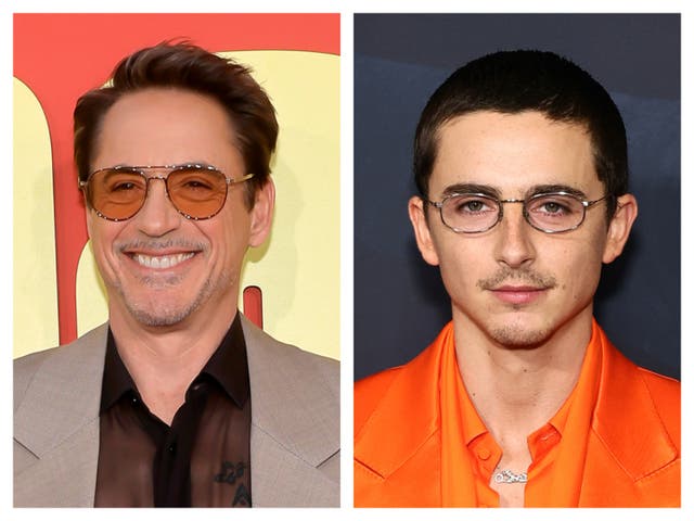 <p>Robert Downey Jr and Timothée Chalamet </p>