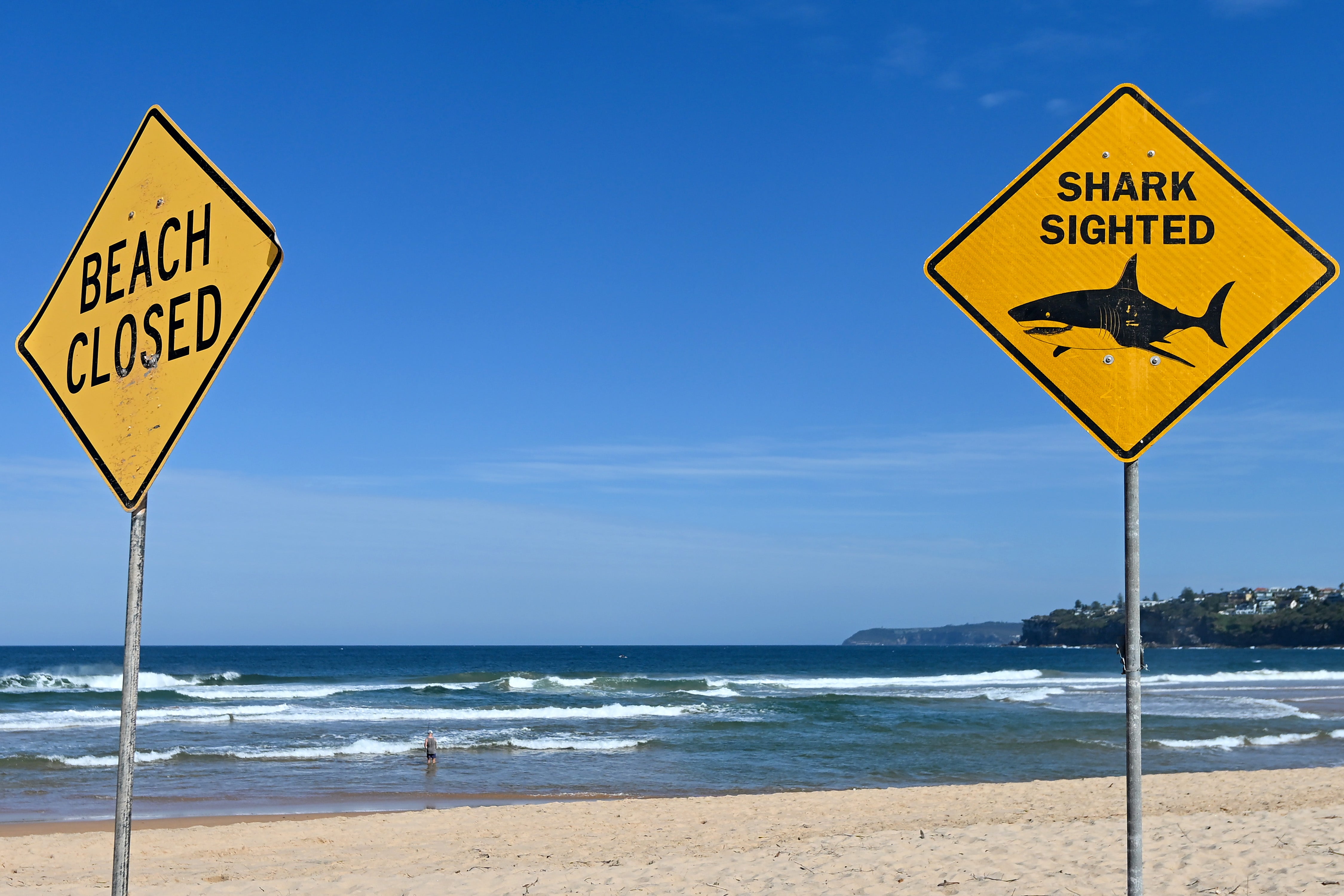 Teen in critical condition after shark attack at Sydney beach