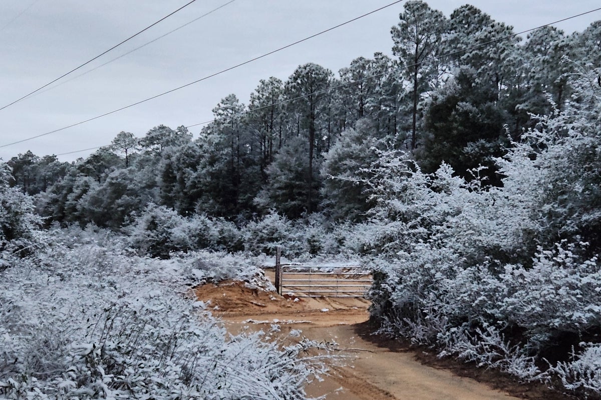 Boca Raton Snow Parts of Florida see snow in unusual winter phenomenon for the Sunshine ...
