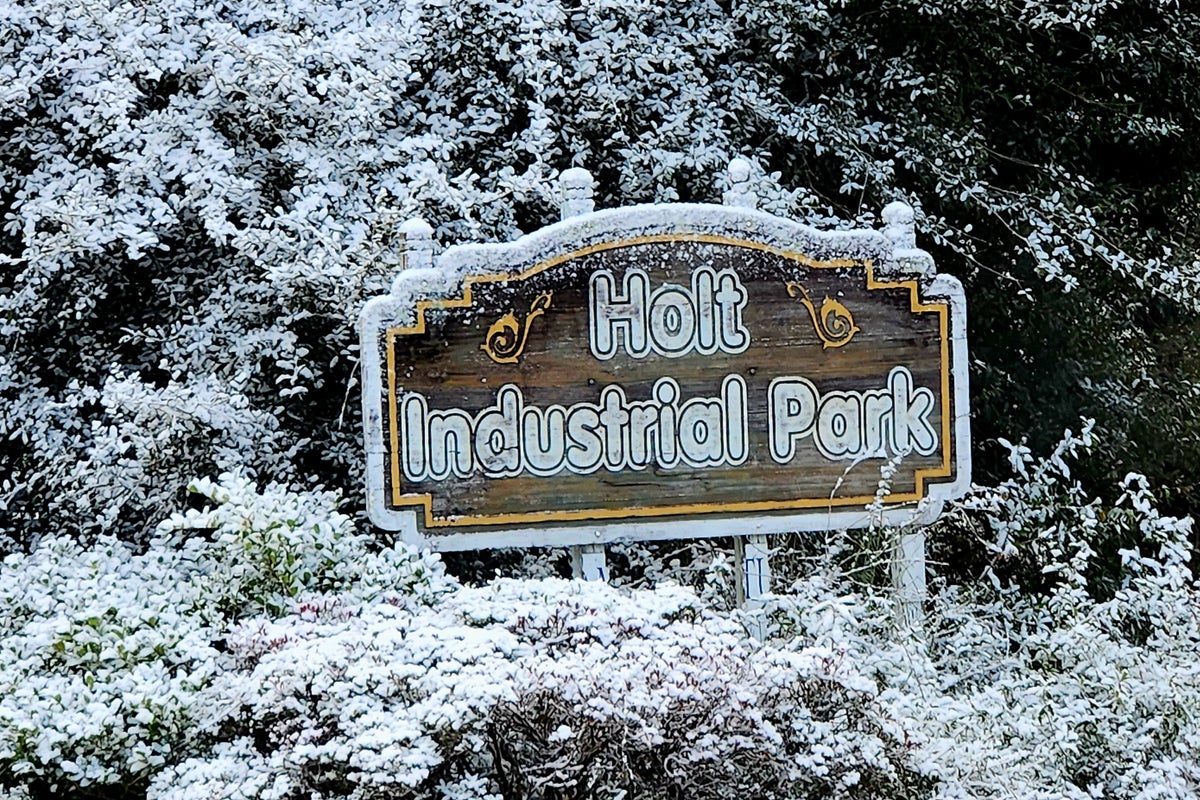 Small part of Sunshine State becomes Snowy State as Florida gets snow second year in a row