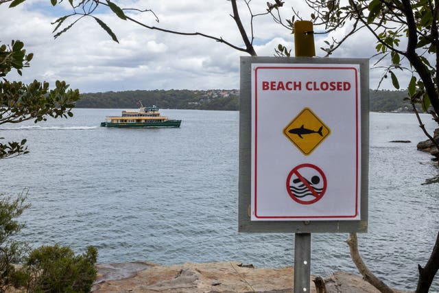 <p>A ferry sails past a closed beach at Vaucluse in Sydney, Monday, Jan. 19, 2026, a day after a boy was attacked by a shark. (Sitthixay Ditthavong/AAP Image via AP)</p>