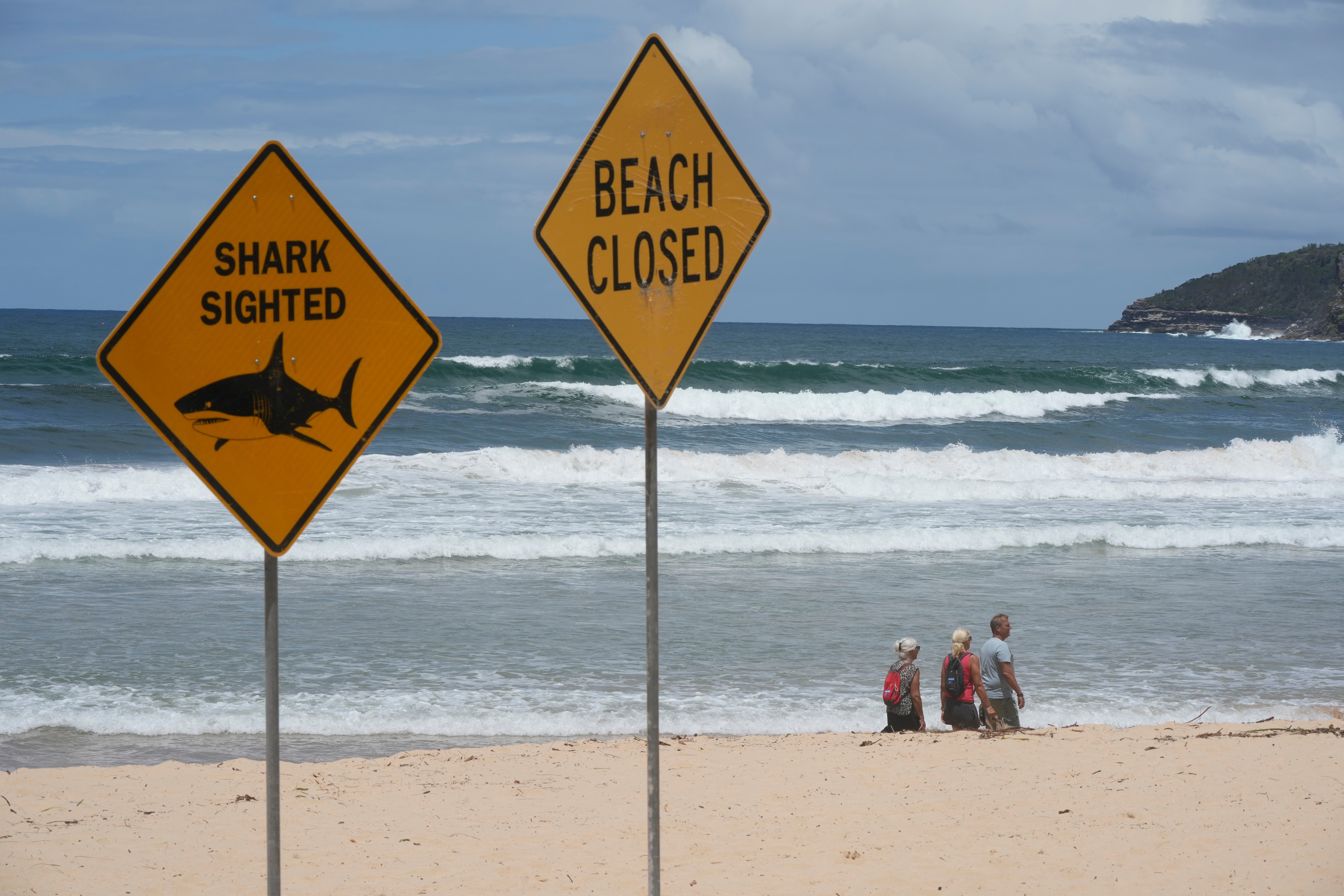 <p>People walk on the sand at North Steyne Beach in Sydney, Tuesday, 20 Jan 2026, after a series of shark attacks</p>
