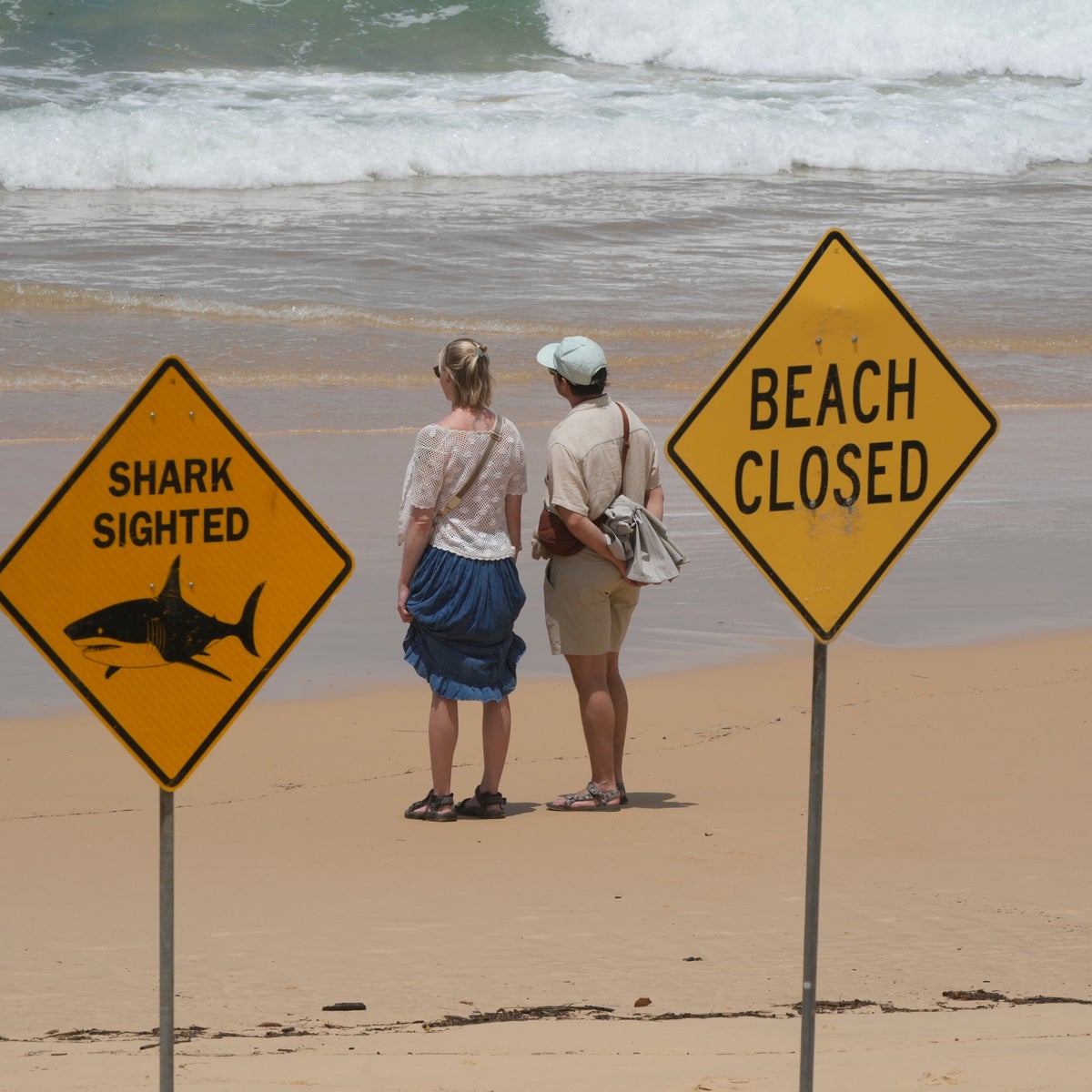 Australia rocked by another shark attack as beaches close across Sydney | The Independent