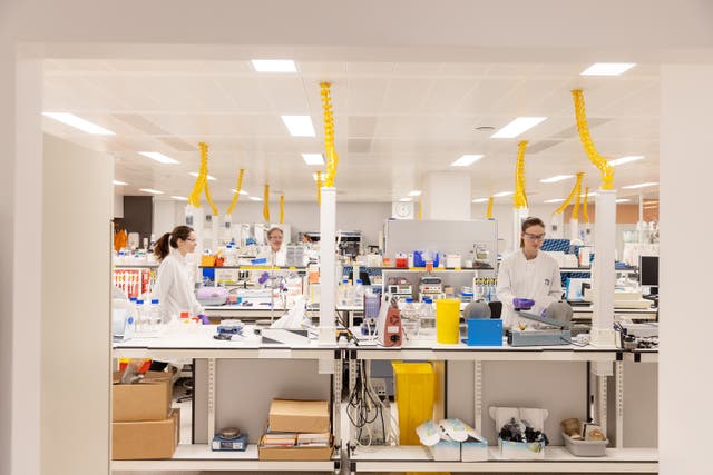 GSK has agreed to buy a pharmaceutical firm that is developing treatment for people with food allergies (GSK/PA)