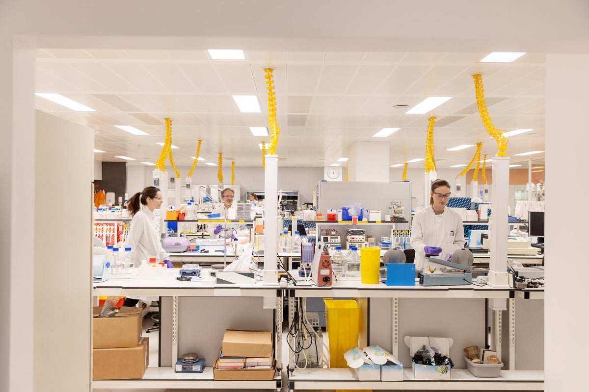 GSK posts higher profits but indicates sales growth to slow in 2026 - The Independent