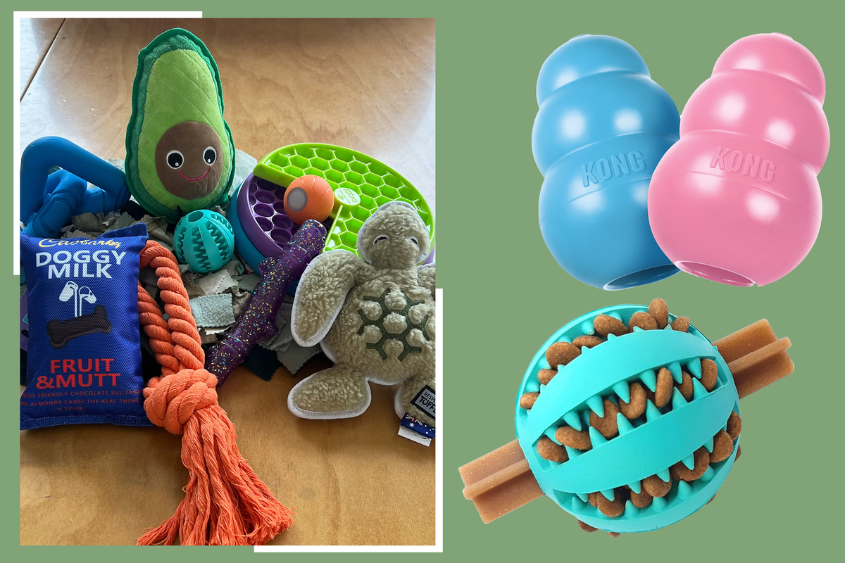 Best dog toys 2026, for tugging, chewing and fetch | The Independent