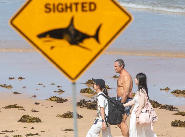 <p>Beachgoers at Queenscliff Beach walk past a shark sighting sign as beaches are closed after recent shark attacks, in Sydney, Australia</p>