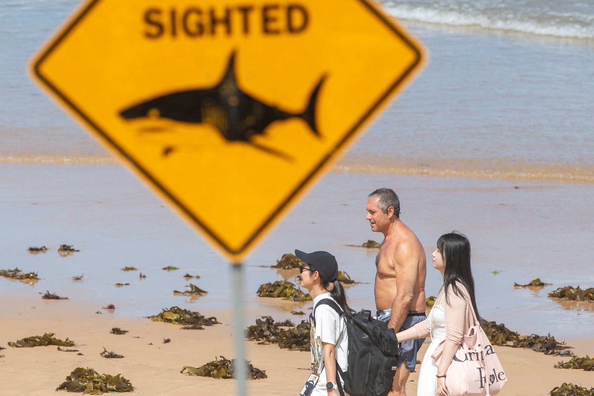Australia closes dozens of beaches after fourth shark attack in 48 hours: ...