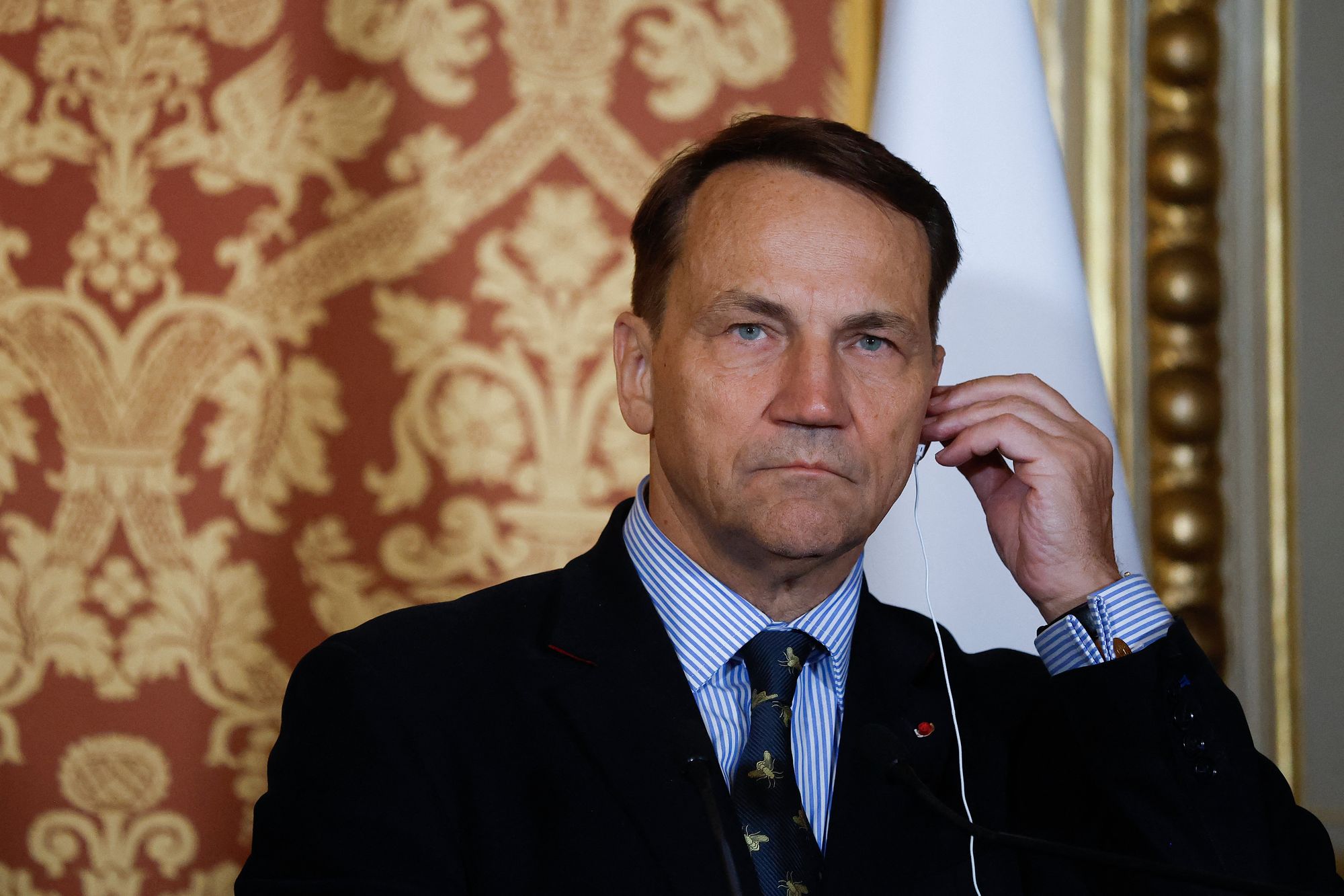 <p>Polish foreign minister Radoslaw Sikorski</p>