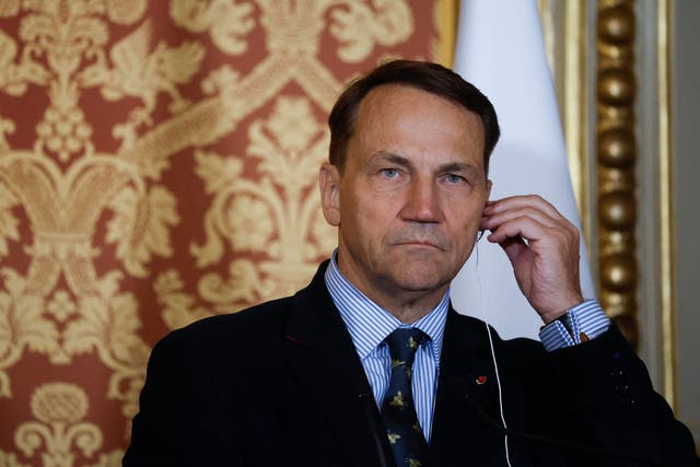 <p>Polish foreign minister Radoslaw Sikorski</p>