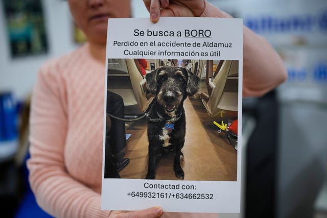 EUR-GEN ESPAÑA-TRENES-CHOQUE-PERRO PERDIDO