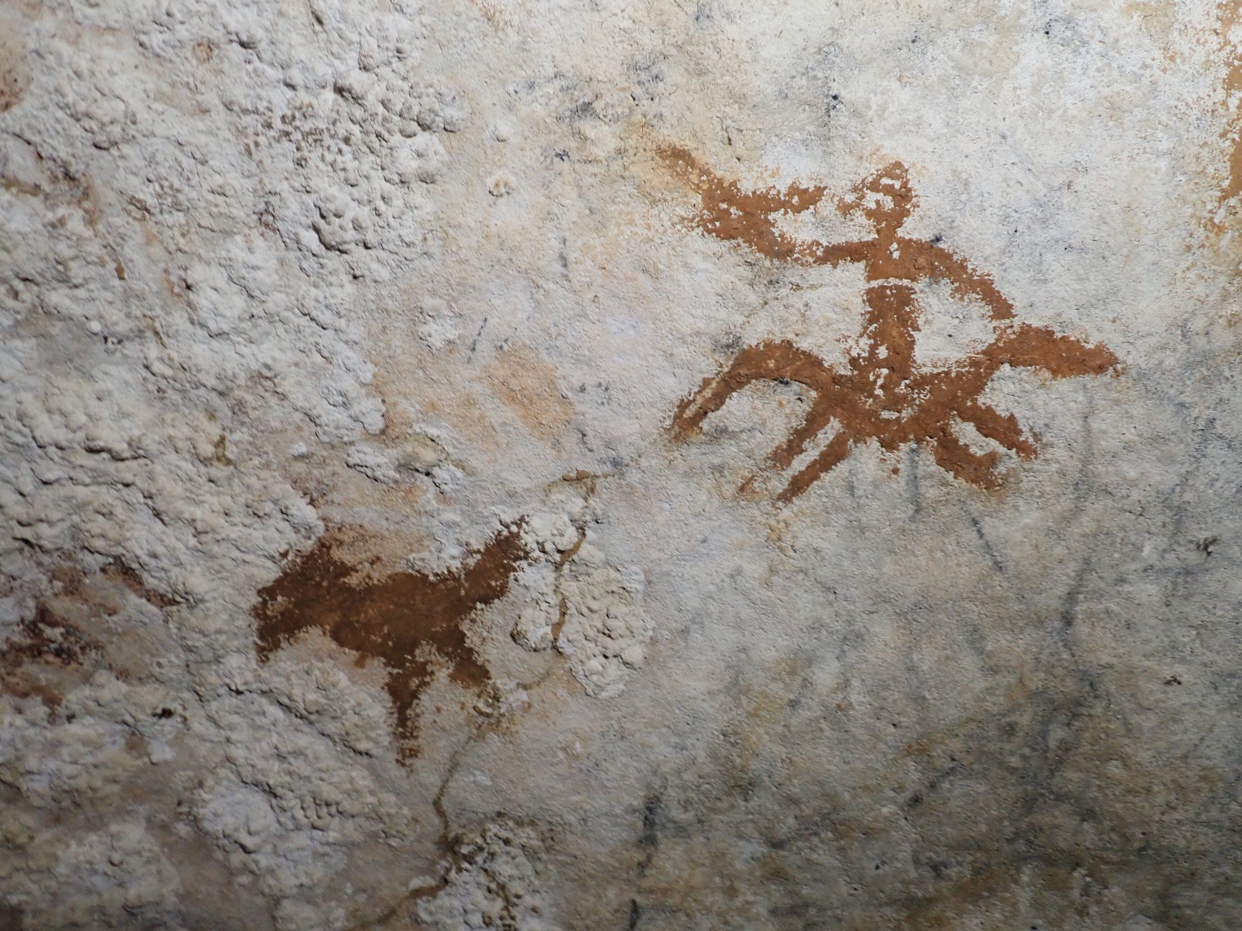 Oldest cave art