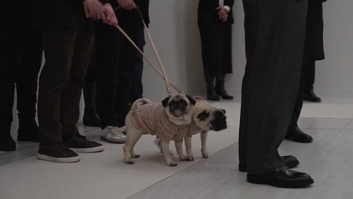 Valentino Garavani’s dogs join hundreds paying tribute to designer