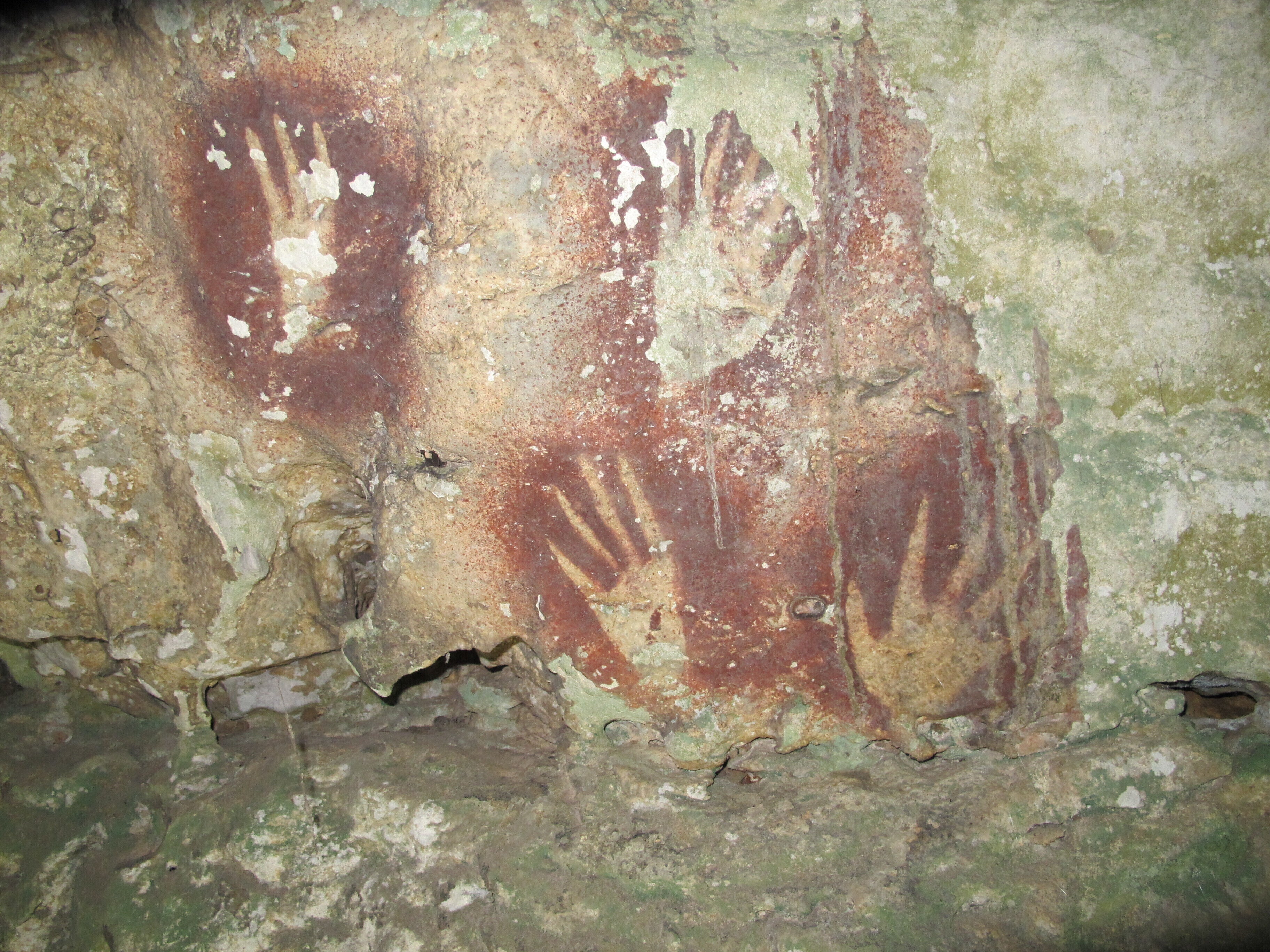 Indonesia cave art