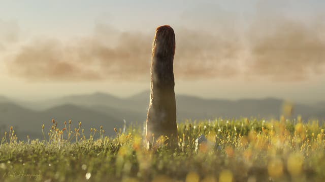 <p>An artist’s impression of what the long extinct species of prototaxites may have looked like. (Matt Hunpage/PA)</p>