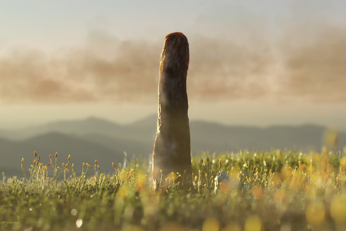 Fossil reveals secrets of entirely different form of life no longer found on Earth