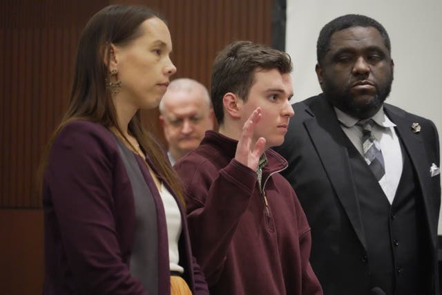 Judge Ridgeway Teen who shot brother pleads guilty to shooting rampage that killed ...