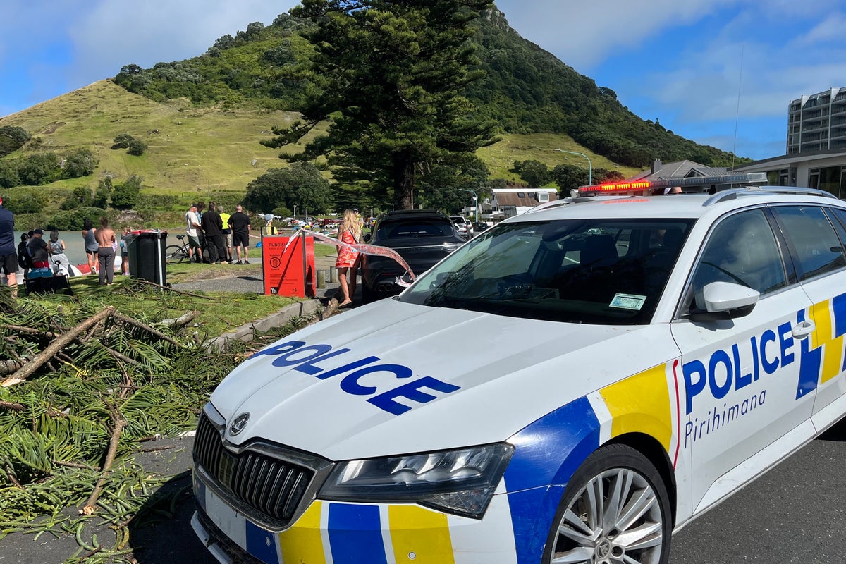 Rescue efforts underway after landslides hit New Zealand campground and house – UK Times