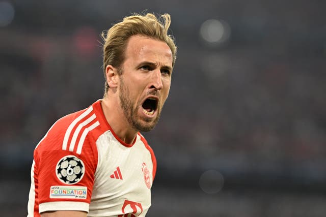 <p>Harry Kane could be set to sign a new Bayern Munich contract (PA)</p>