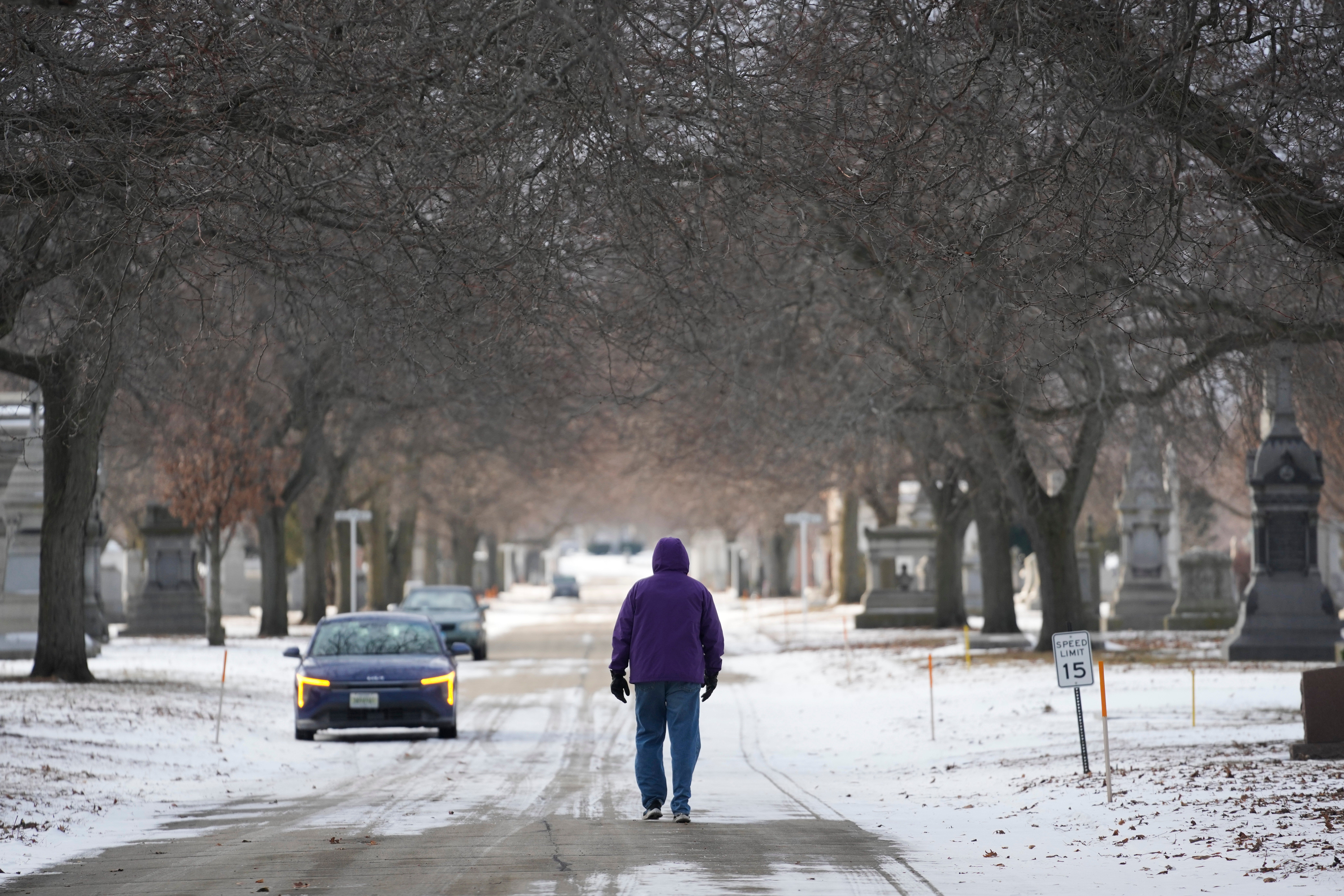 A person walks in a snowy Calvary Catholic Cemetery, Wednesday, Jan. 21, 2026, in Chicago. (AP Photo/Erin Hooley)