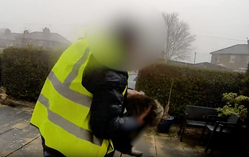 Moment Amazon driver allegedly steals cat after delivering package caught on video