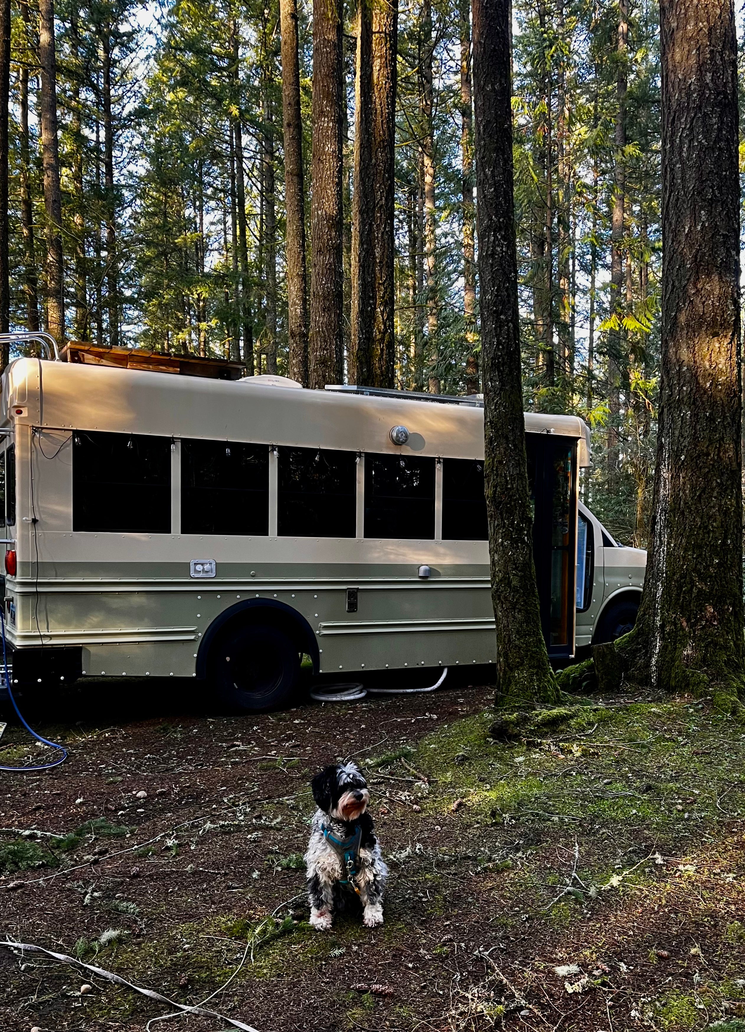 Obtaining a bus has varied from person to person, from Peterson using Craigslist to others participating in government auctions