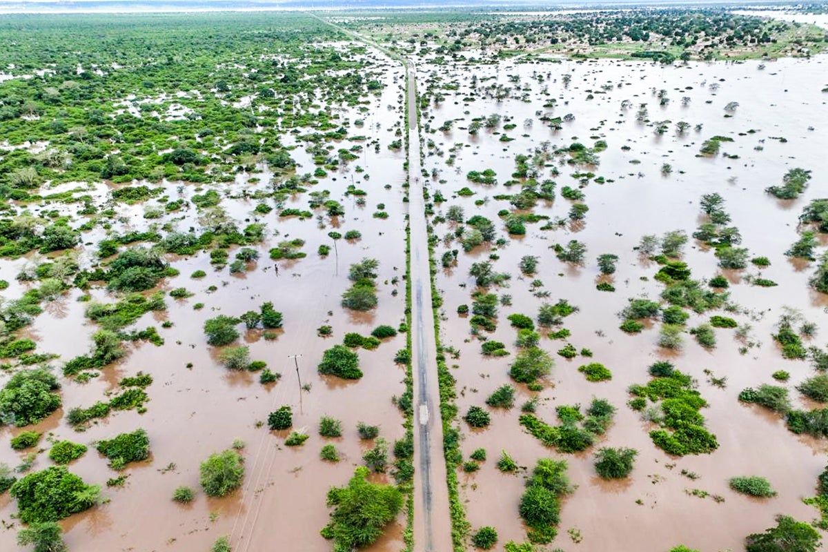 What to know about the devastating floods in southern Africa
