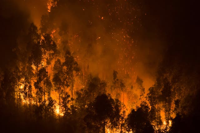 CHILE-INCENDIOS