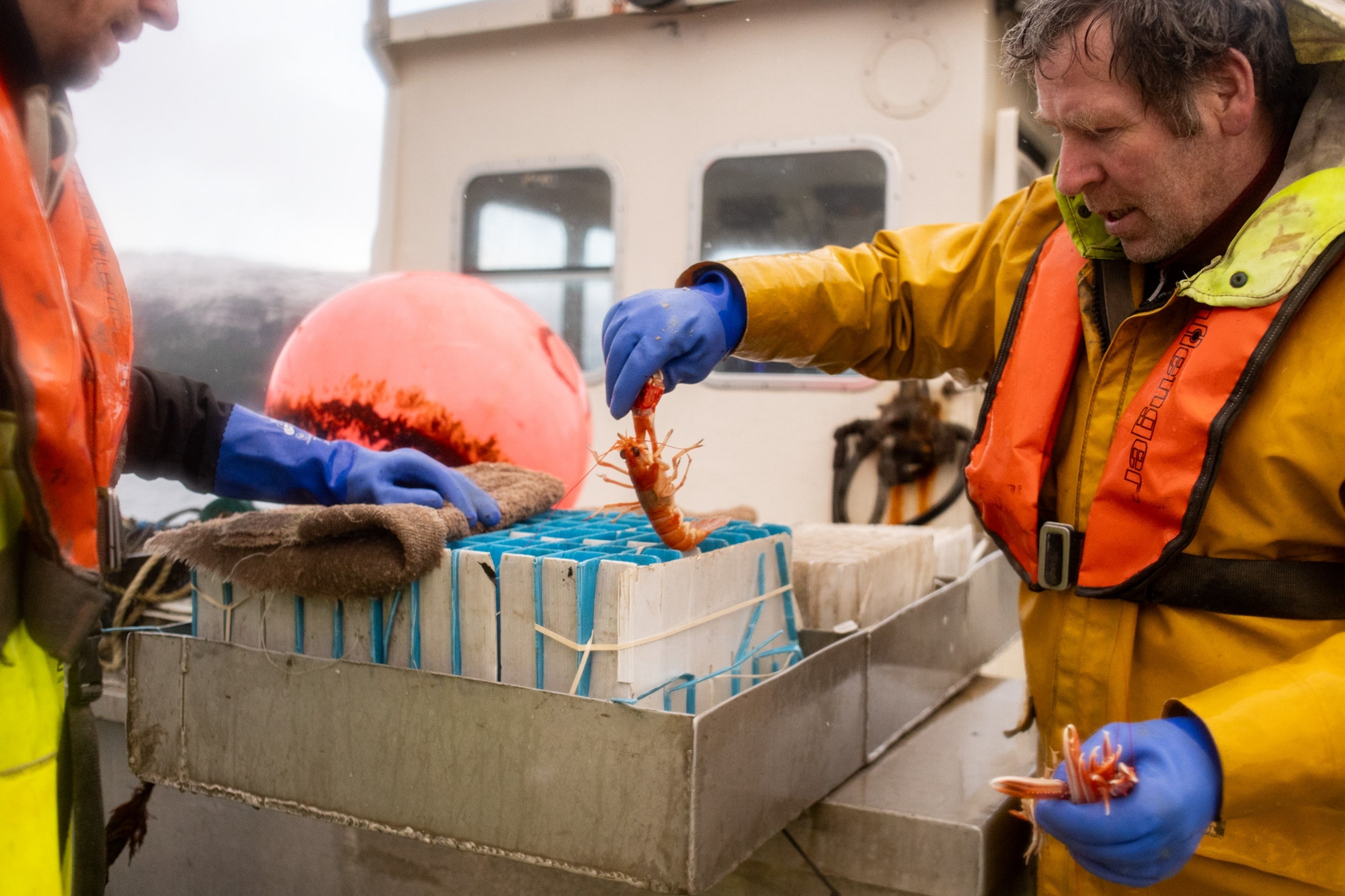 independent.co.uk - Emily Whitney - In Scotland, the fishing practice of scrapping ocean bottom continues despite promise