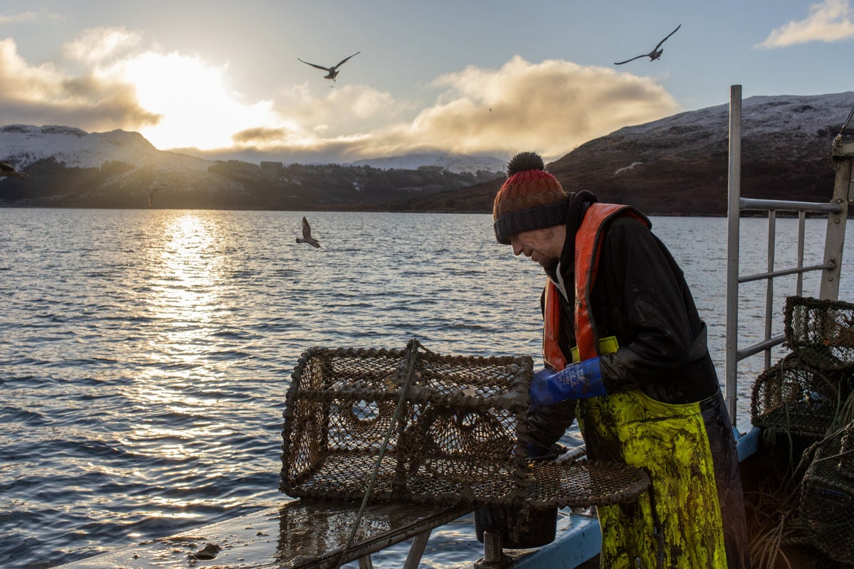 In Scotland, the fishing practice of scrapping ocean bottom continues despite protection promises In Scotland, the fishing practice of scrapping ocean bottom continues despite protection promises
