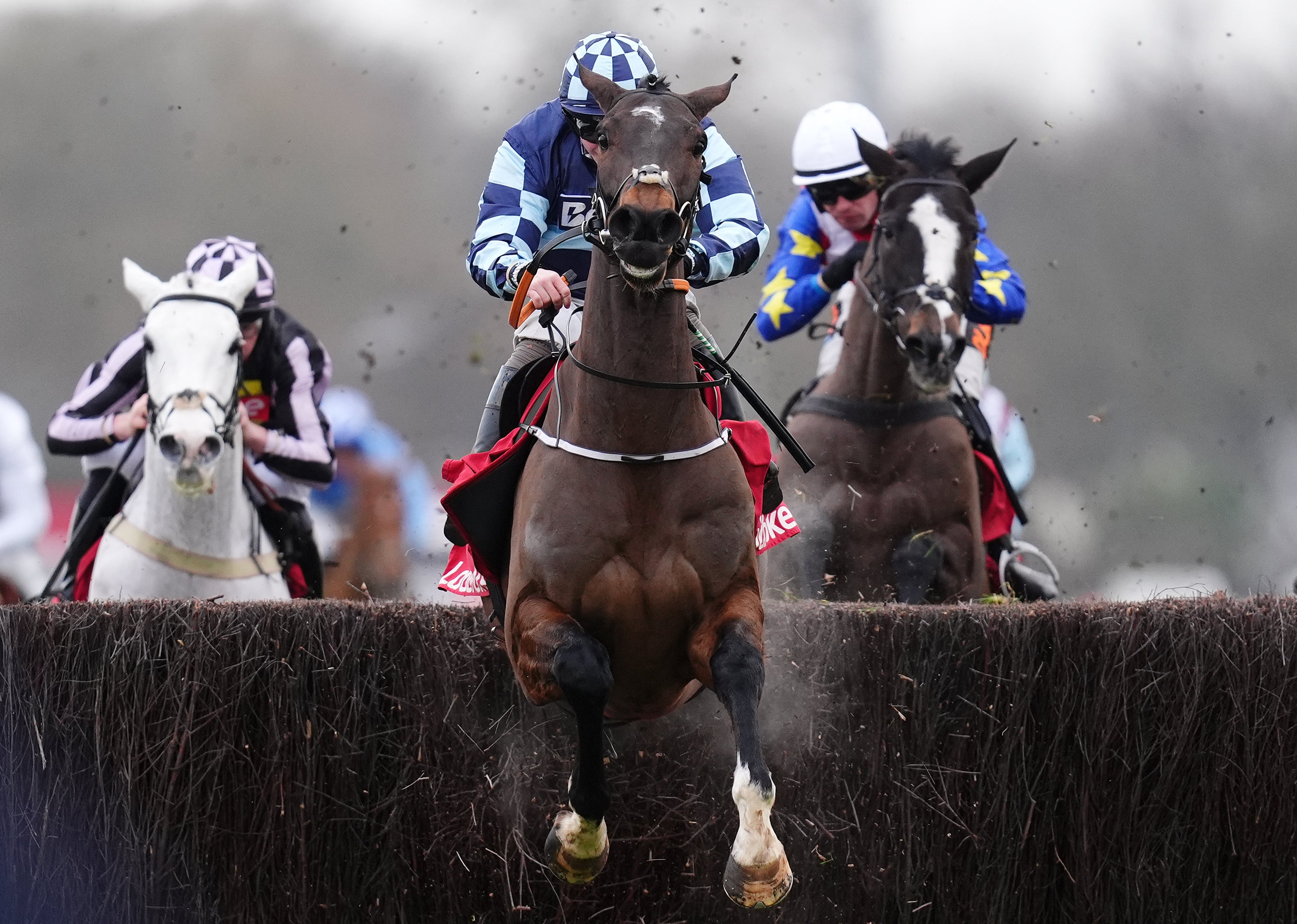 independent.co.uk - Jonathan Doidge - Cheltenham Tips Saturday: Trials Day Predictions & Best Bets