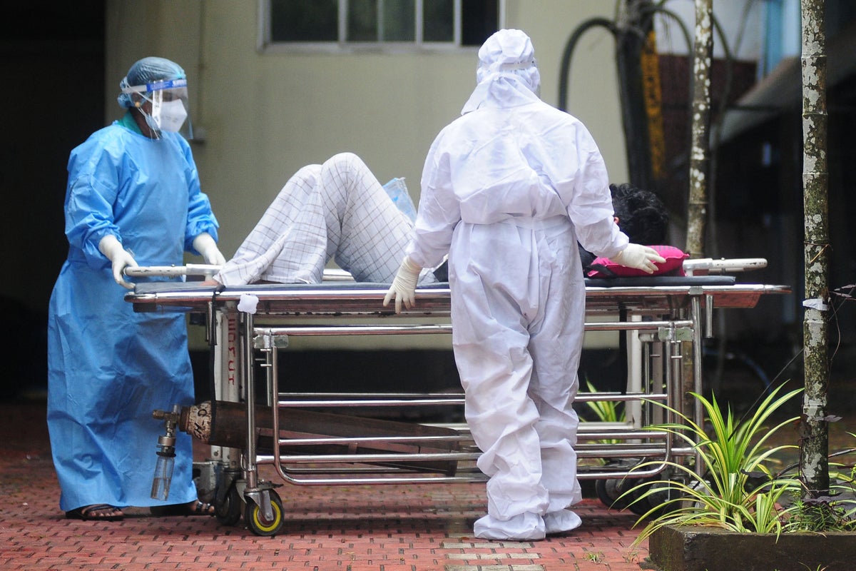 Bulletin world briefing: India races to control Nipah virus and Spain train crash cause revealed