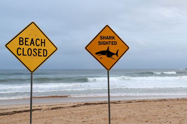 <p>Temporary closure signs are seen on the North Steyne Beach in Sydney, Australia</p>