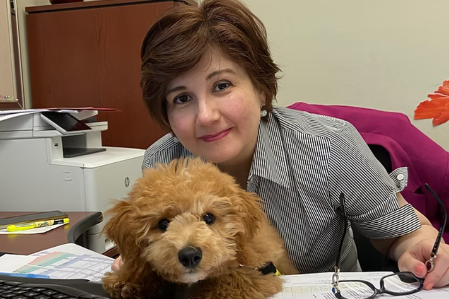 Husband of Newport Beach socialite was found dead at bottom of 75 foot embankment arrested 