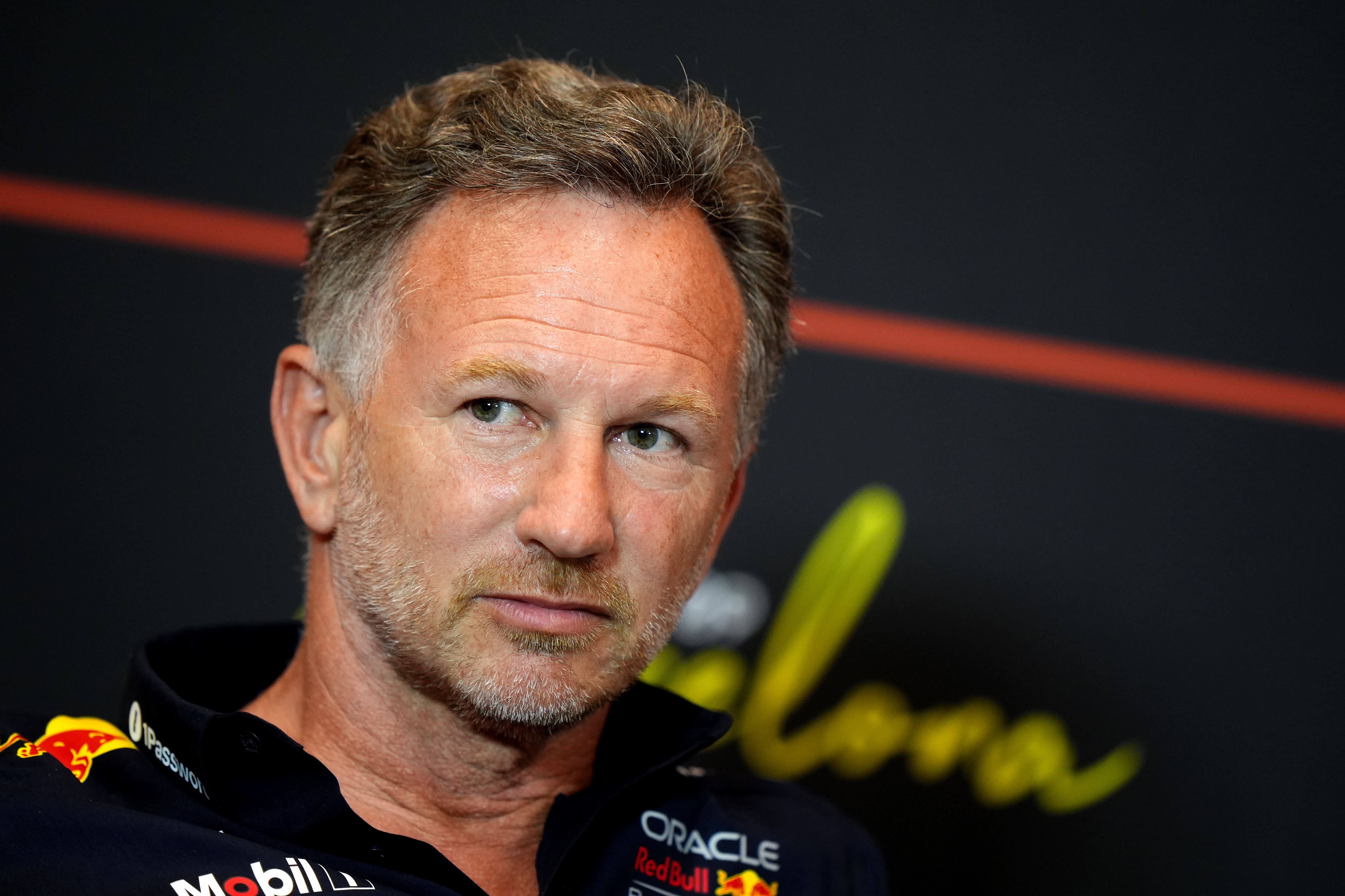 Christian Horner oversaw a period of success at Red Bull