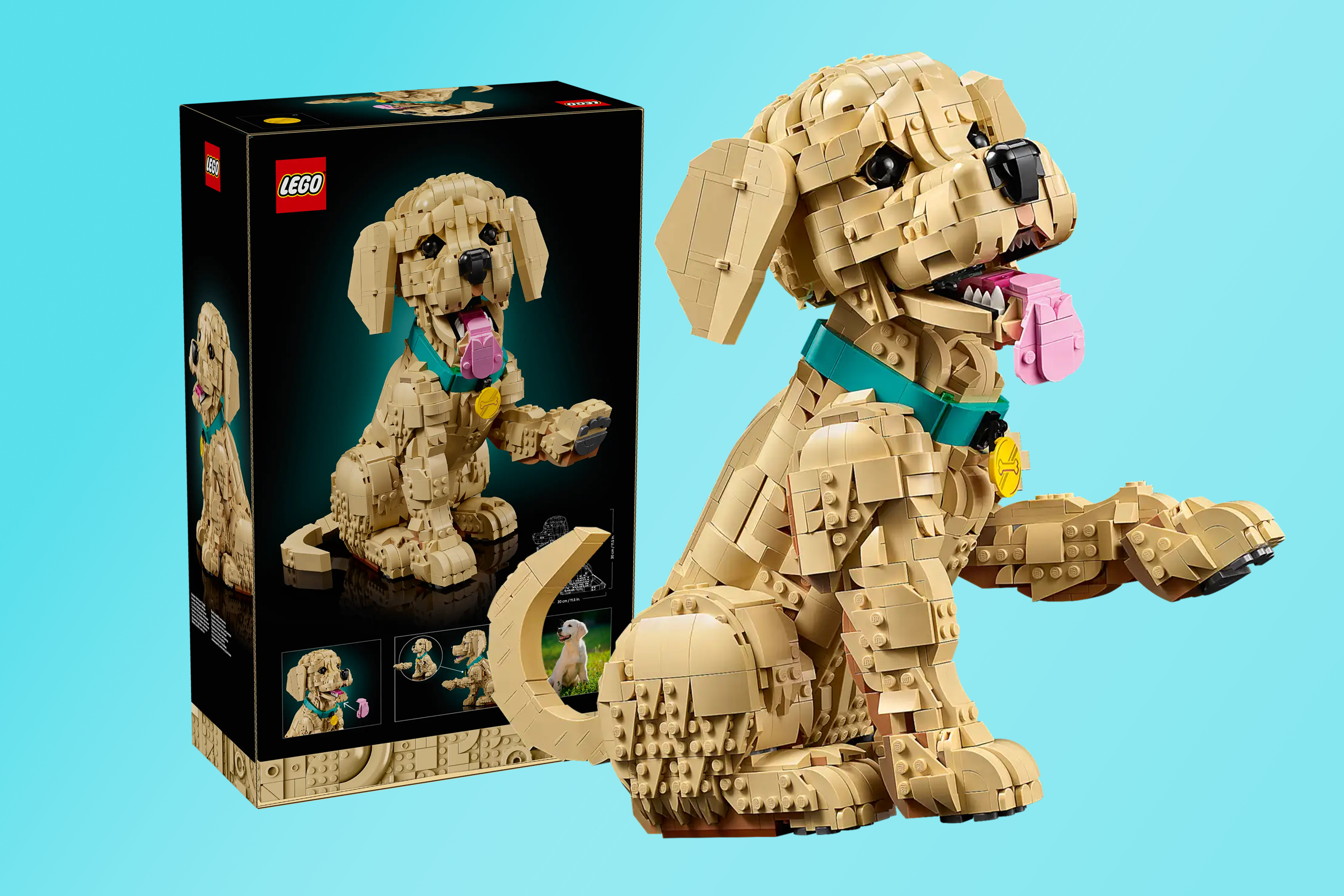 <p>The Lego puppy doesn’t come cheap</p>