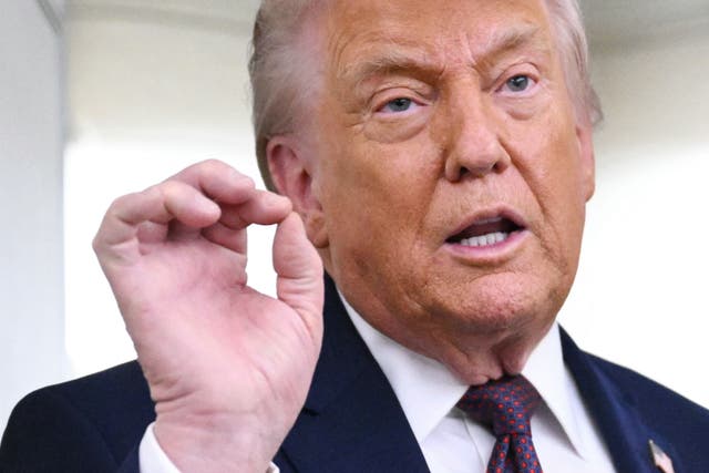 <p>Donald Trump says he appears to be on a ‘similar wavelength’ to Minnesota Governor Tim Walz days after border patrol officers fatally shot a 37-year-old protester, the second fatal shooting by federal agents in Minneapolis this year</p>