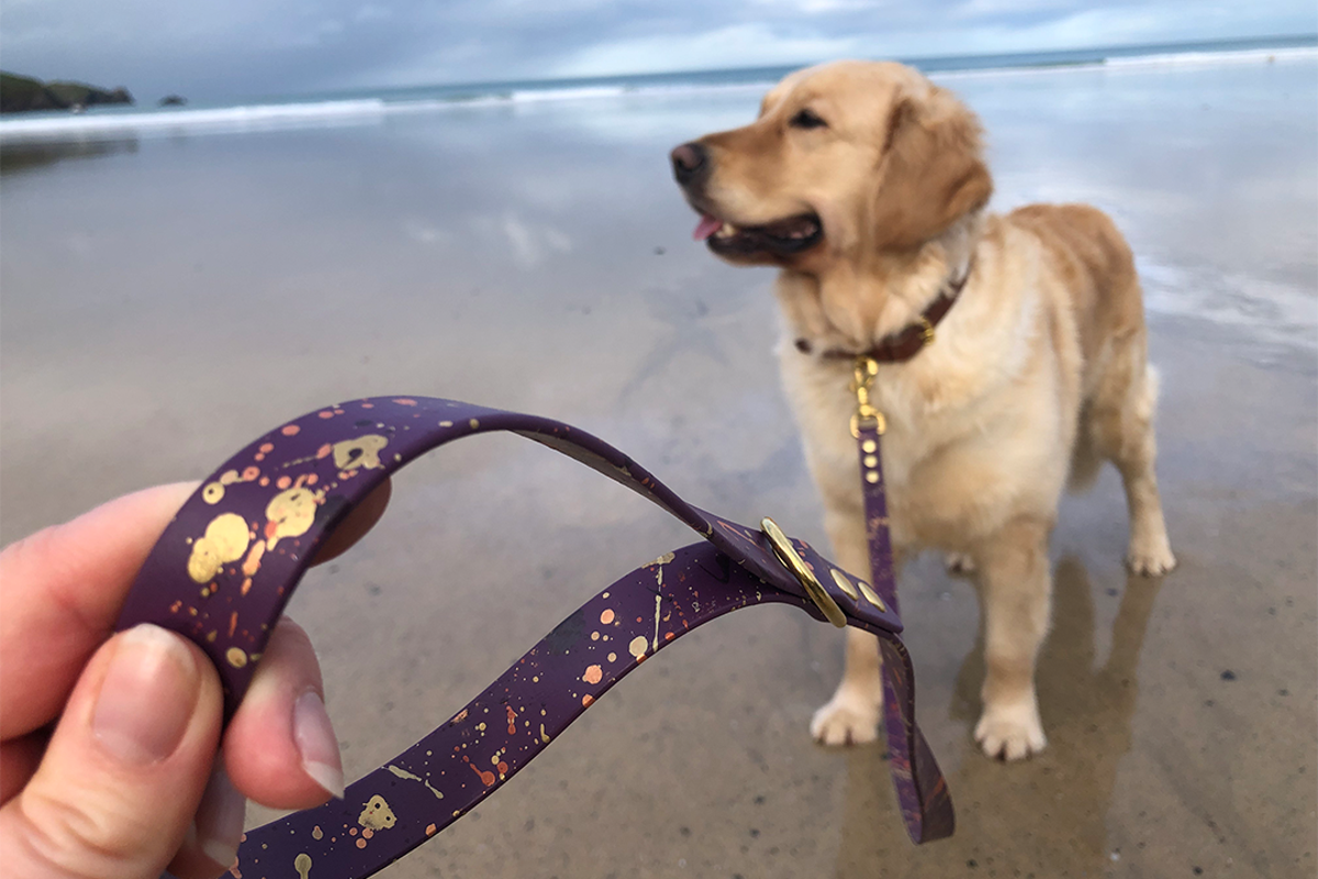 Best dog leads 2026, tried and tested on walks with an energetic golden retriever