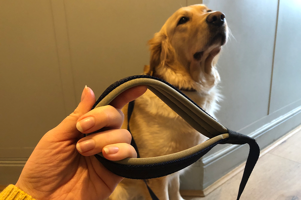 Best dog lead IndyBest review Petface paws neoprene padded dog lead