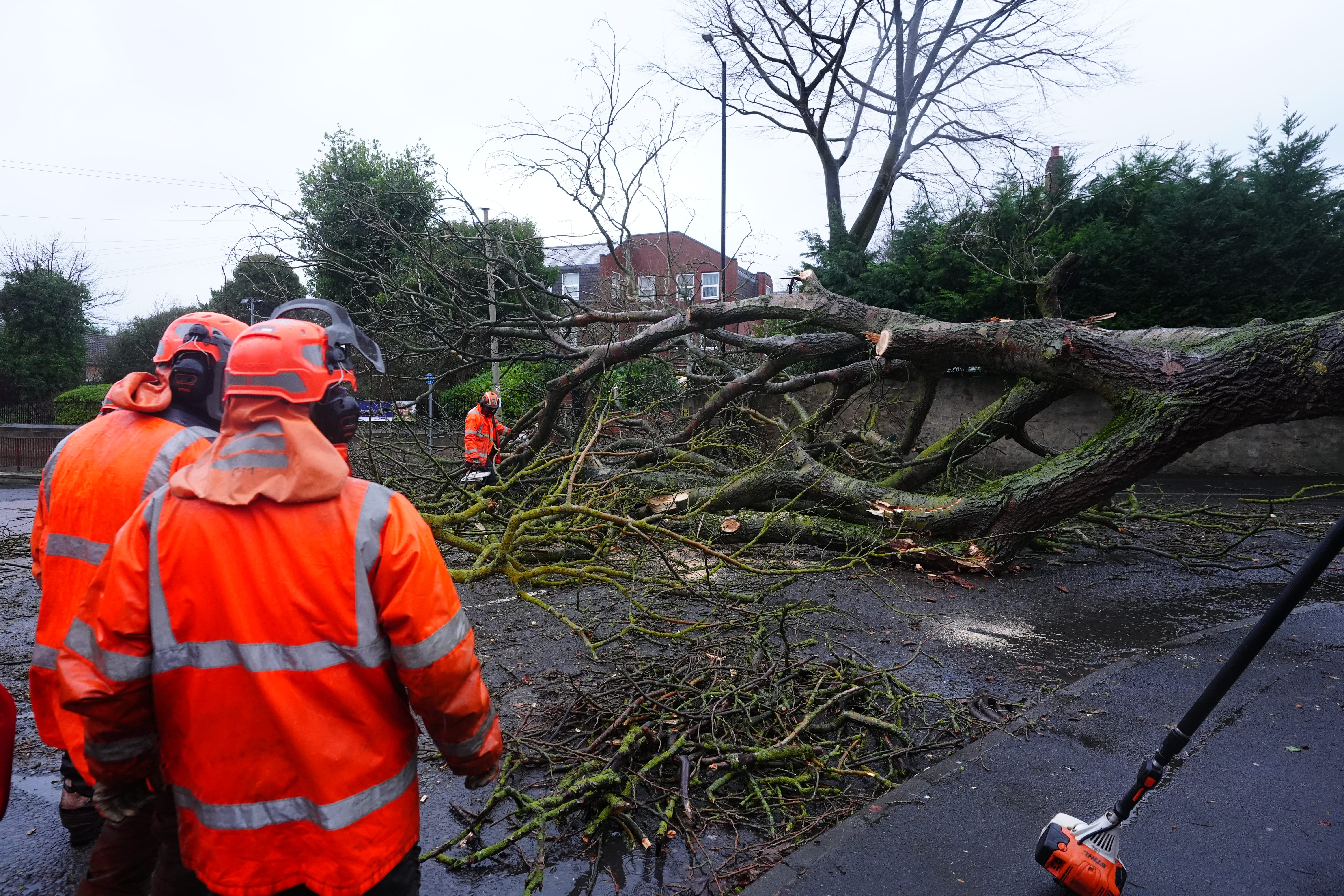 A fallen tree blocks Hall Lane in Houghton-le-Spring in Durham due to Storm Chandra (Owen Humphreys/PA)