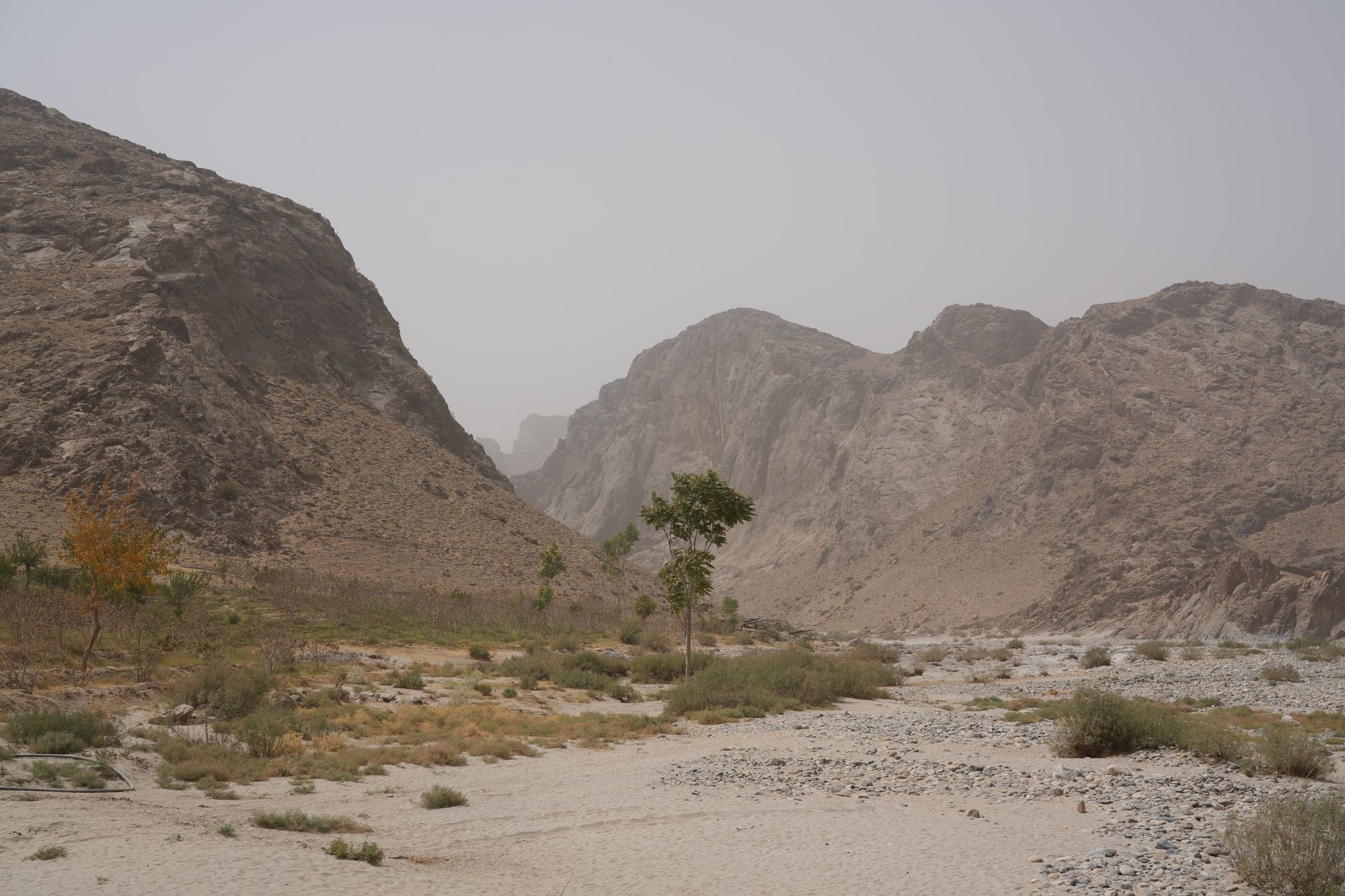 Kandahar, a drought-impacted region of Southern Afghanistan, where low rainfall has left families without enough food, water, or work