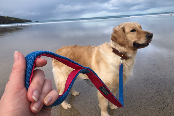 Best dog lead IndyBest review BlossomCo Berneray Harris Tweed dog lead