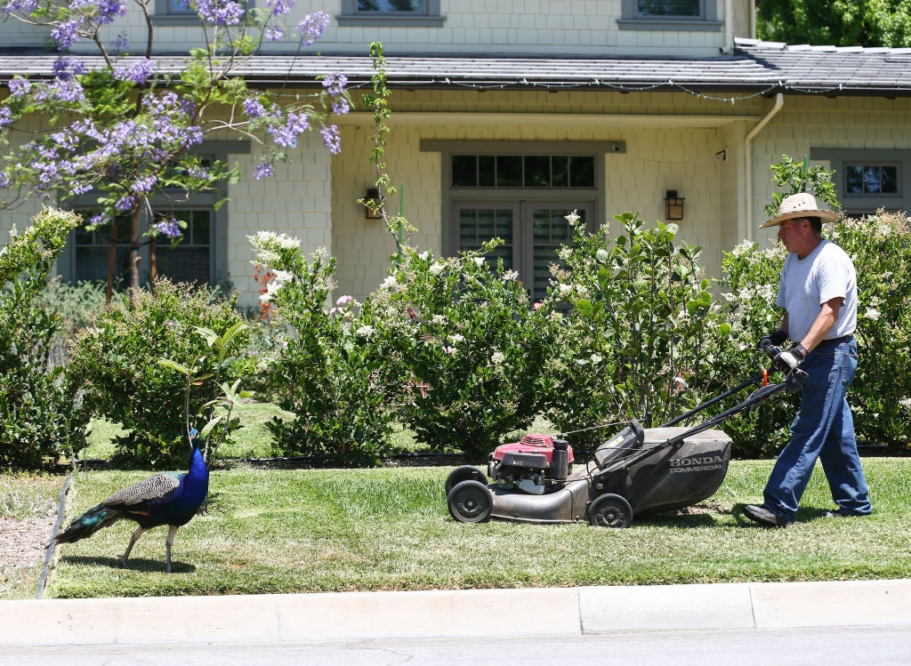 <p>Homeowners associations, which oversee community standards for things like grass length, add a median monthly fee of $135 to listed homes in their communities, according to a new report</p>
